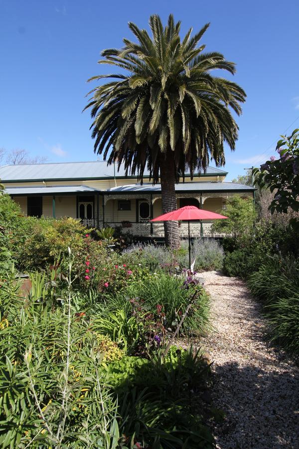 Palm House Bed & Breakfast Maldon Bagian luar foto